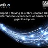 BSG report – Moving to a fibre-enabled UK: International experiences on barriers to gigabit adoption